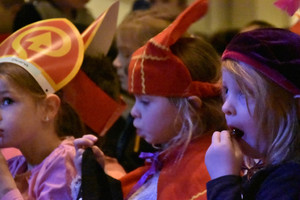 Intocht Sinterklaas Wanroij 2015