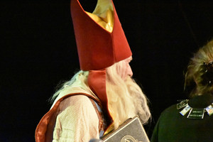 Intocht Sinterklaas Wanroij 2015