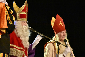 Intocht Sinterklaas Wanroij 2015