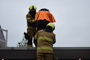 Sinterklaasintocht Landhorst 2022