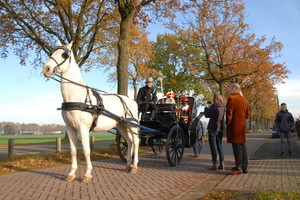 Intocht Sinterklaas Landhorst 2019