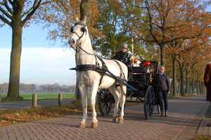 Intocht Sinterklaas Landhorst 2019