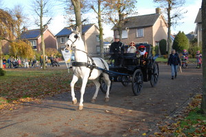 Intocht Sinterklaas Landhorst 2019