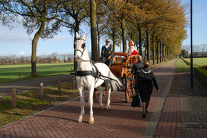 Intocht Sinterklaas Landhorst 2015