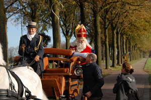 Intocht Sinterklaas Landhorst 2015