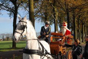 Intocht Sinterklaas Landhorst 2015