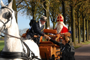 Intocht Sinterklaas Landhorst 2015