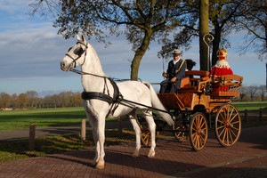 Intocht Sinterklaas Landhorst 2015