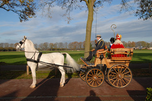 Intocht Sinterklaas Landhorst 2015