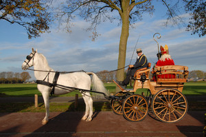 Intocht Sinterklaas Landhorst 2015