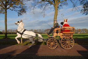 Intocht Sinterklaas Landhorst 2015