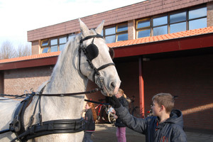 Intocht Sinterklaas Landhorst 2015