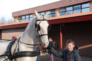 Intocht Sinterklaas Landhorst 2015