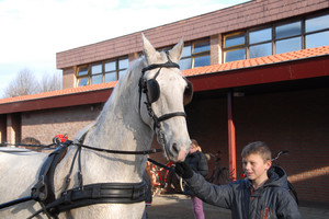 Intocht Sinterklaas Landhorst 2015