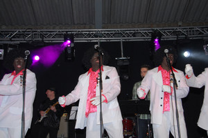 WAC 50 - feest 'Op zien Hollands' 2010