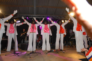 WAC 50 - feest 'Op zien Hollands' 2010