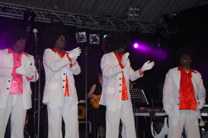 WAC 50 - feest 'Op zien Hollands' 2010