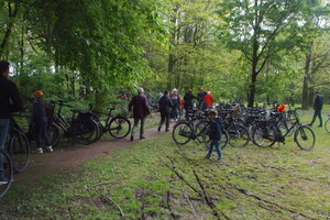 Koningsdag 2024