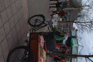 Intocht Sinterklaas Wanroij 2024