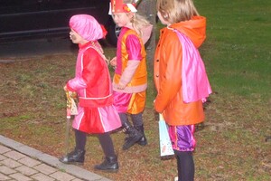 Intocht Sinterklaas Wanroij 2024