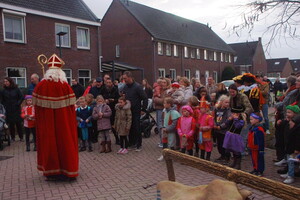 Intocht Sinterklaas Wanroij 2024