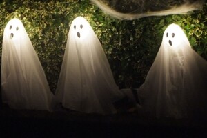 Halloween 1-11-2025 - Foto's deel 1