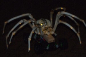 Halloween 1-11-2025 - Foto's deel 1