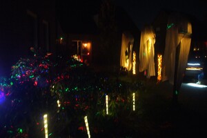 Halloween 1-11-2025 - Foto's deel 1