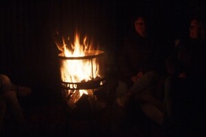 Halloween 1-11-2025 - Foto's deel 1