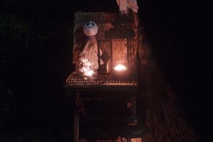 Halloween 1-11-2025 - Foto's deel 1