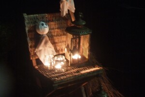 Halloween 1-11-2025 - Foto's deel 1