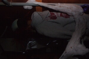 Halloween 1-11-2025 - Foto's deel 1