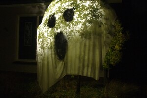 Halloween 1-11-2025 - Foto's deel 1