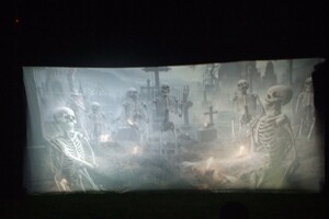 Halloween 1-11-2025 - Foto's deel 1