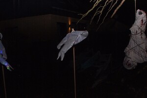 Halloween 1-11-2025 - Foto's deel 1