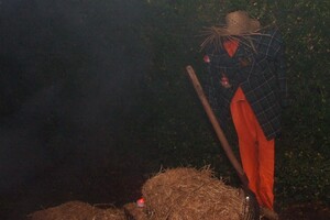 Halloween 1-11-2025 - Foto's deel 1