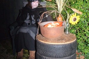 Halloween 1-11-2025 - Foto's deel 1