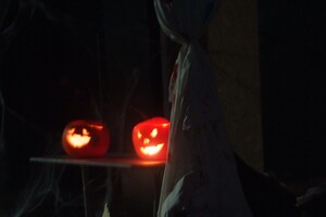 Halloween 1-11-2025 - Foto's deel 1