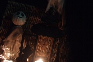 Halloween 1-11-2025 - Foto's deel 1