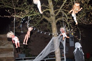 Halloween 1-11-2025 - Foto's deel 1