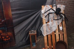 Halloween 1-11-2025 - Foto's deel 1