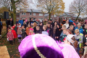 Intocht Sinterklaas Wanroij 2025