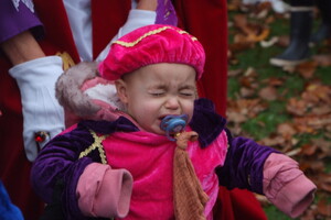 Intocht Sinterklaas Wanroij 2025