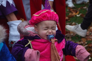 Intocht Sinterklaas Wanroij 2025