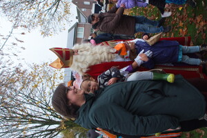 Intocht Sinterklaas Wanroij 2025