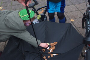 Intocht Sinterklaas Wanroij 2025