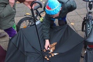 Intocht Sinterklaas Wanroij 2025