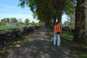 Koningsdag 2026