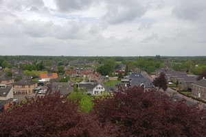 Koningsdag 2019