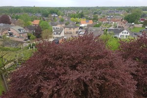 Koningsdag 2019